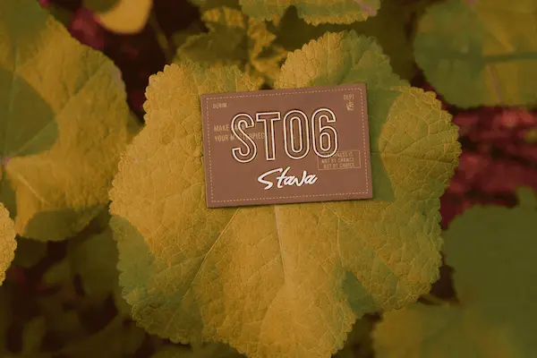 PU Labels Manufacturer – Embossed & Printed Polyurethane Labels